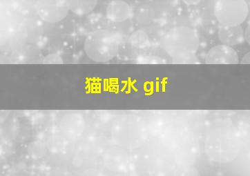 猫喝水 gif